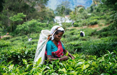 Man working in farm