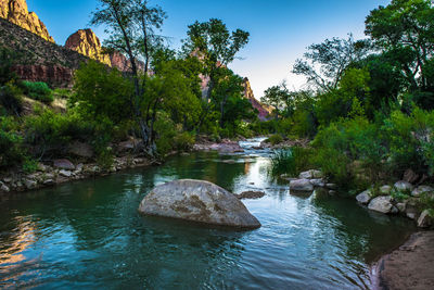 Scenic view of river amidst trees against sky