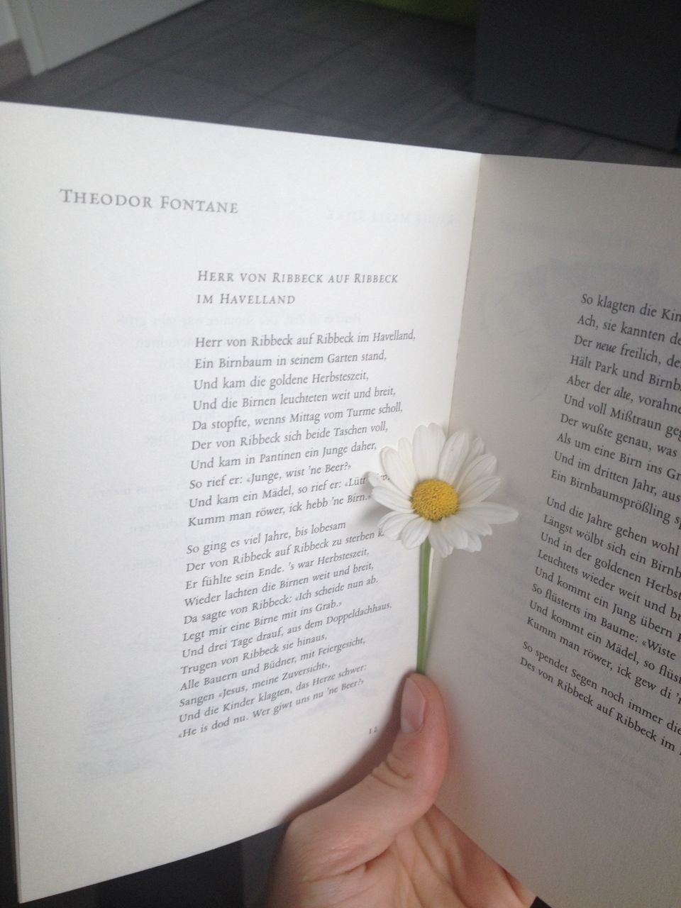 HIGH ANGLE VIEW OF HAND HOLDING BOOK WITH FLOWER