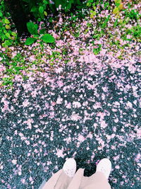 Low section of woman standing by flowering plants