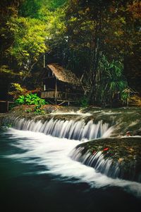 Scenic view of waterfall in forest