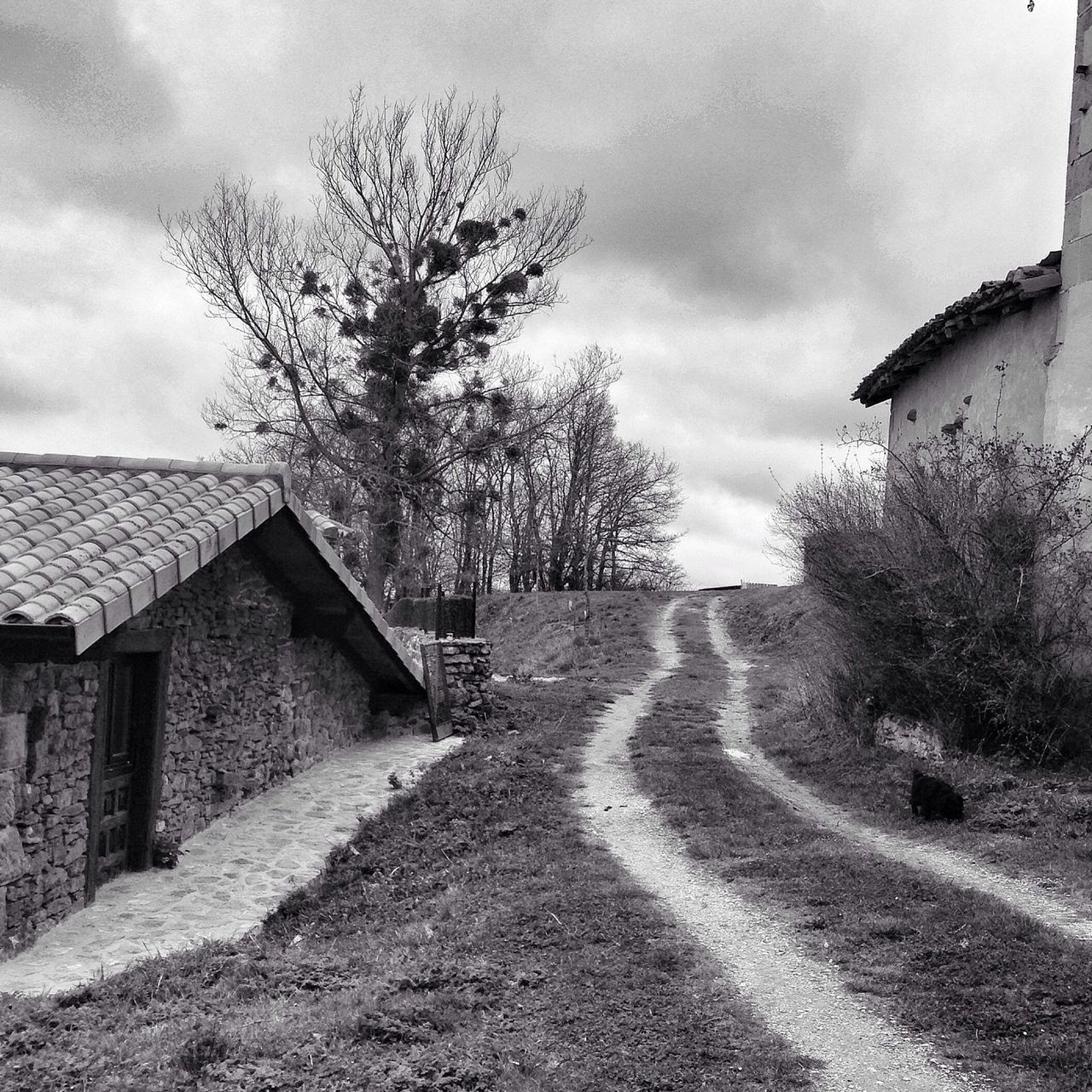 building exterior, architecture, built structure, sky, tree, house, cloud - sky, the way forward, cloud, cloudy, residential structure, grass, bare tree, day, outdoors, no people, road, residential building, nature, growth