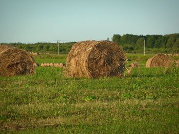 Hay bales on field against clear sky