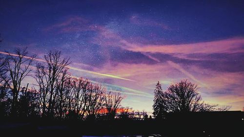 Silhouette of trees at sunset