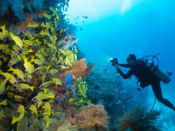 Man photographing school of fish while scuba diving undersea