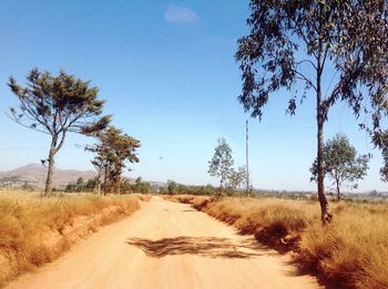 Road passing through field