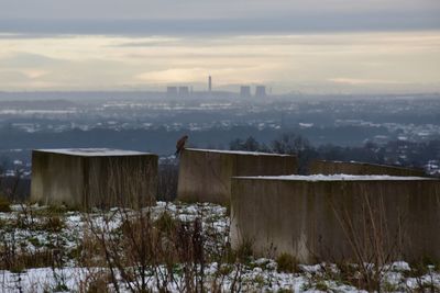 View over urban landscape on winter morning with kestrel perched in the foreground