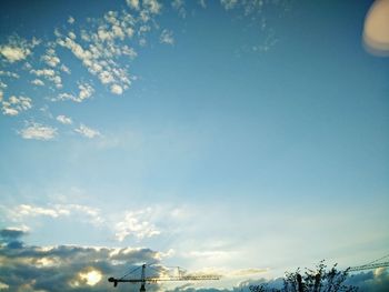 Low angle view of trees against blue sky