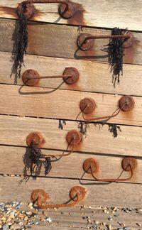 Full frame shot of wooden plank