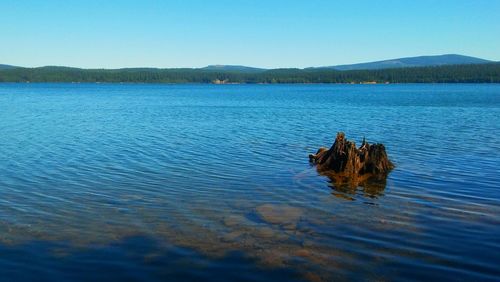 Scenic view of lake against clear blue sky