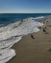 Scenic view of beach against clear sky