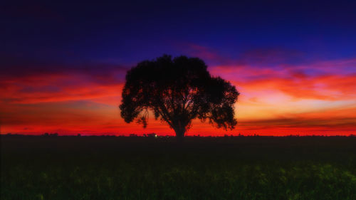 Silhouette trees on field against romantic sky at sunset