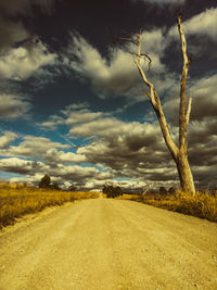 Road amidst trees on field against sky