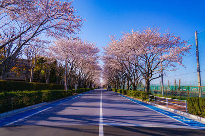 Road amidst bare trees against clear blue sky