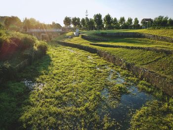 Scenic view of agricultural field against sky