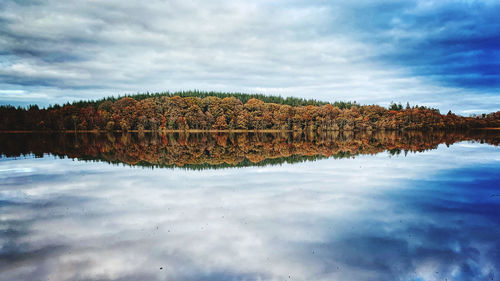 Forest lake reflection 