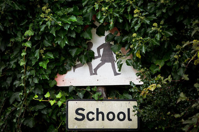 Close-up of sign amidst leaves