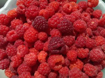 Close-up of strawberries