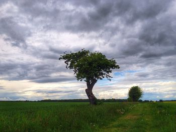 Scenic view of grassy field against cloudy sky