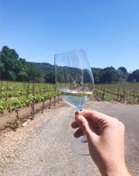 Close-up of hand holding wine glass on field against clear sky