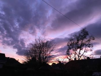 Silhouette of trees against dramatic sky