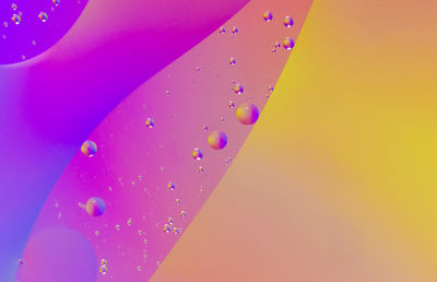 Close-up of water drops on multi colored background