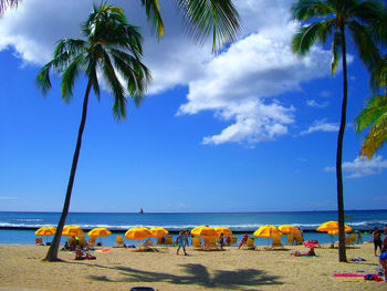 Palm trees on beach