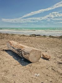 Driftwood on beach against sky