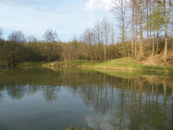 Scenic view of lake in forest against sky