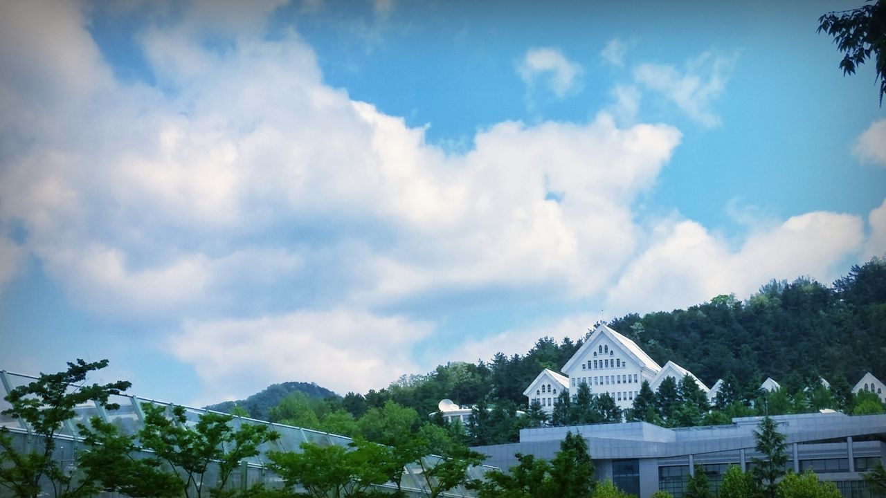 tree, sky, mountain, cloud - sky, beauty in nature, scenics, built structure, cloudy, cloud, architecture, tranquility, nature, tranquil scene, low angle view, building exterior, growth, day, mountain range, outdoors, no people