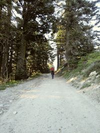 Rear view of man walking on road in forest