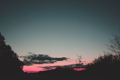 Low angle view of silhouette trees against sky during sunset