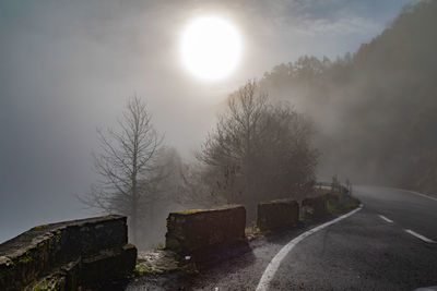 Road amidst trees against sky during foggy weather