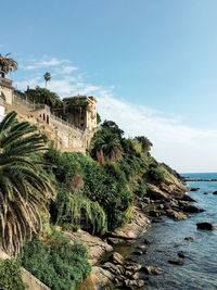 Palm trees by sea against sky