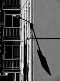 Shadow of bird on building wall