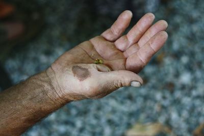 Close-up of cropped hand