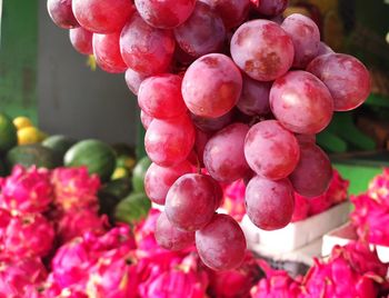 Close-up of grapes