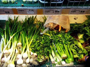 Close-up of vegetables for sale in market