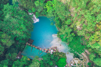 High angle view of river amidst trees