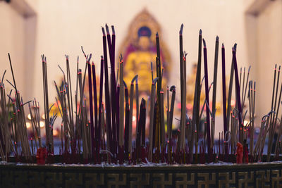 Close-up of incense sticks with buddha statue in background