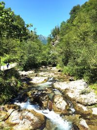 Scenic view of river in forest against sky