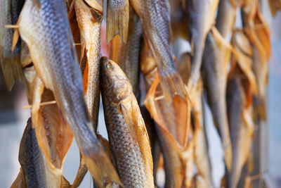 Close-up of fish for sale in market