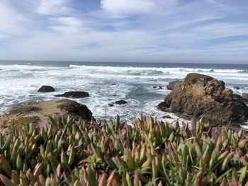 Scenic view of sea against sky