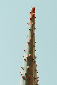 Low angle view of christmas tree against clear sky