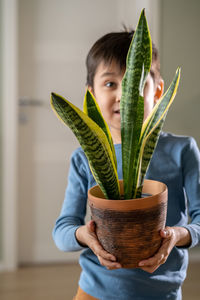 Close-up of potted plant on table