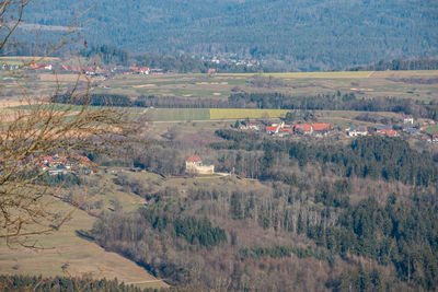 High angle view of trees on field