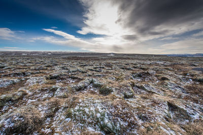 Scenic view of landscape against sky