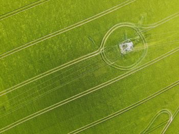 High angle view of leaf on road