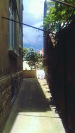 View of built structure along trees