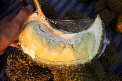 High angle view of person preparing food